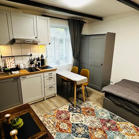Romantic Hideaway Studio Next To Agenskalns Market & Free Parking Апартаменти Рига