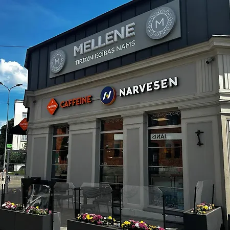 Urban Wolfie With Free Parking & Own Bicycle Riga